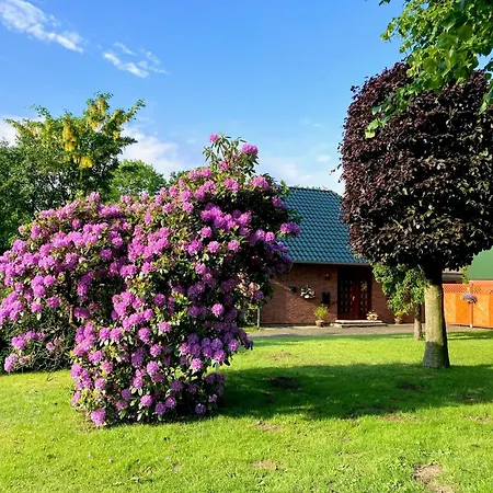 Lisa Holiday home *
